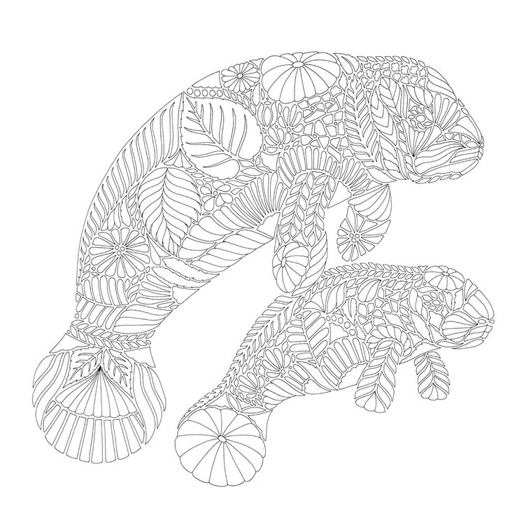 Produktbild: Millie Marotta's Animal Adventures