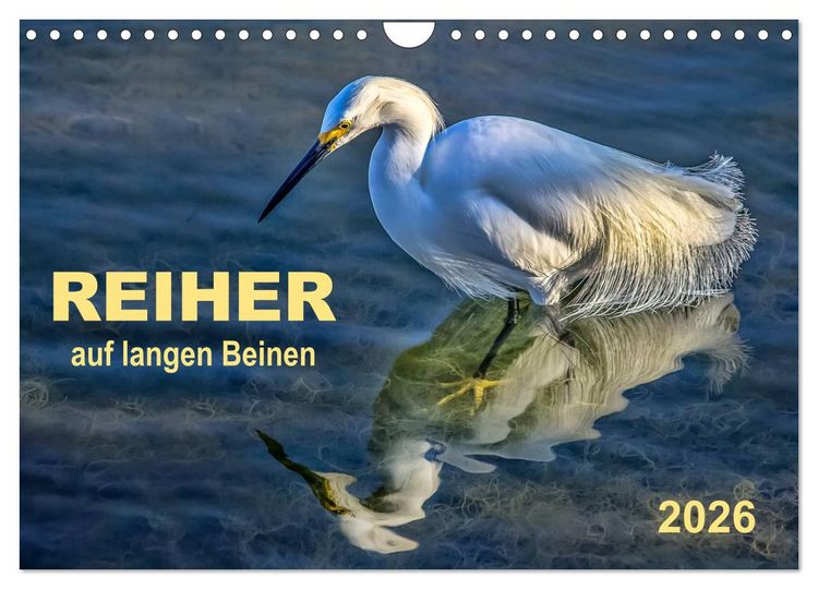 Produktbild: Reiher - auf langen Beinen (Wandkalender 2026 DIN A4 quer), CALVENDO Monatskalender