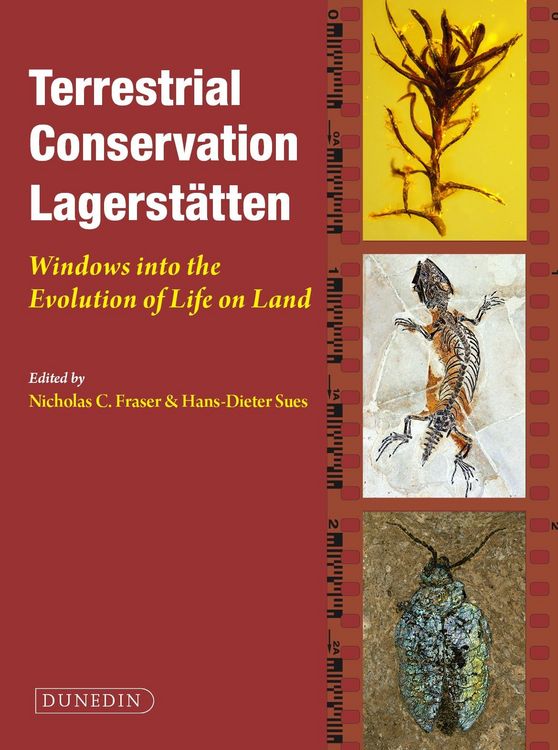 Produktbild: Terrestrial Conservation Lagerstatten