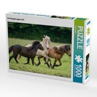 Produktbild: CALVENDO Puzzle Die Hengste jagen sich. 1000 Teile Lege-Gr&ouml;&szlig;e 64 x 48 cm Foto-Puzzle Bild von Ingo Gerlach