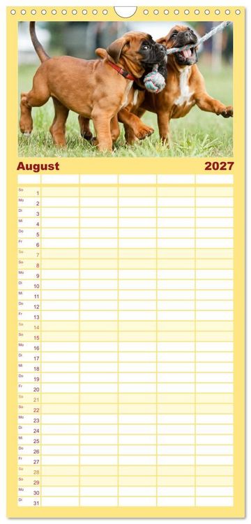 Produktbild: Familienplaner 2027 - Deutscher Boxer 2027 mit 5 Spalten (Wandkalender, 21 x 45 cm) CALVENDO