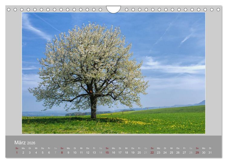 Produktbild: Schweiz - Impressionen der idyllischen Bergwelt im Laufe der Jahreszeiten (Wandkalender 2026 DIN A4 quer), CALVENDO Monatskalender
