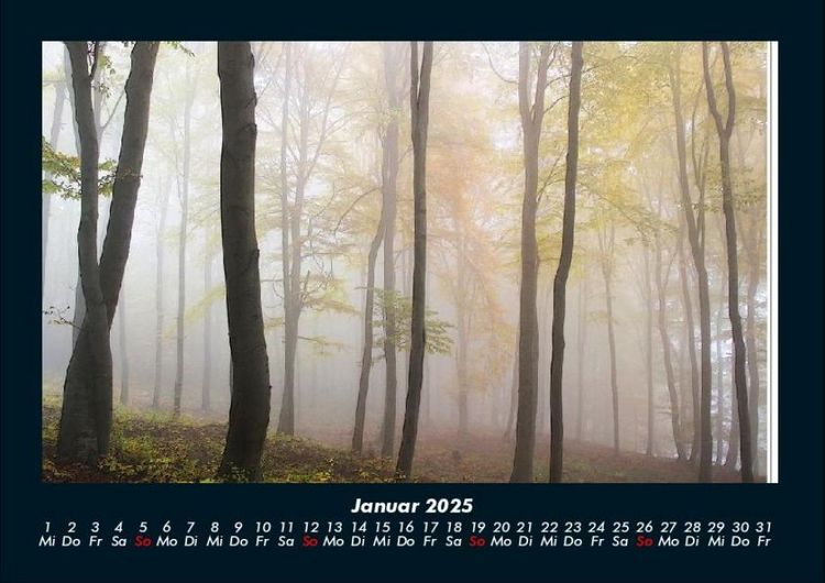 Produktbild: B&auml;ume 2025 Fotokalender DIN A4