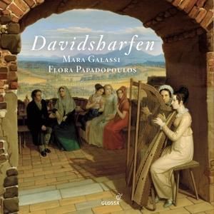 Produktbild: Davidsharfen