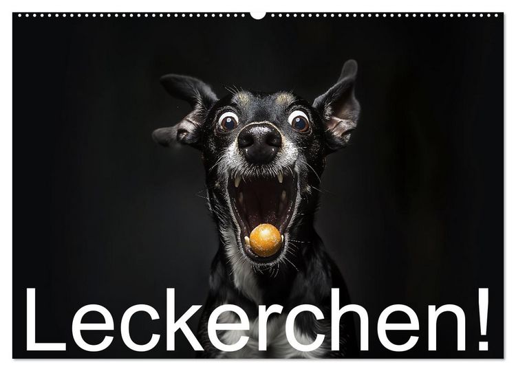 Produktbild: Leckerchen! (Wandkalender 2026 DIN A2 quer), CALVENDO Monatskalender
