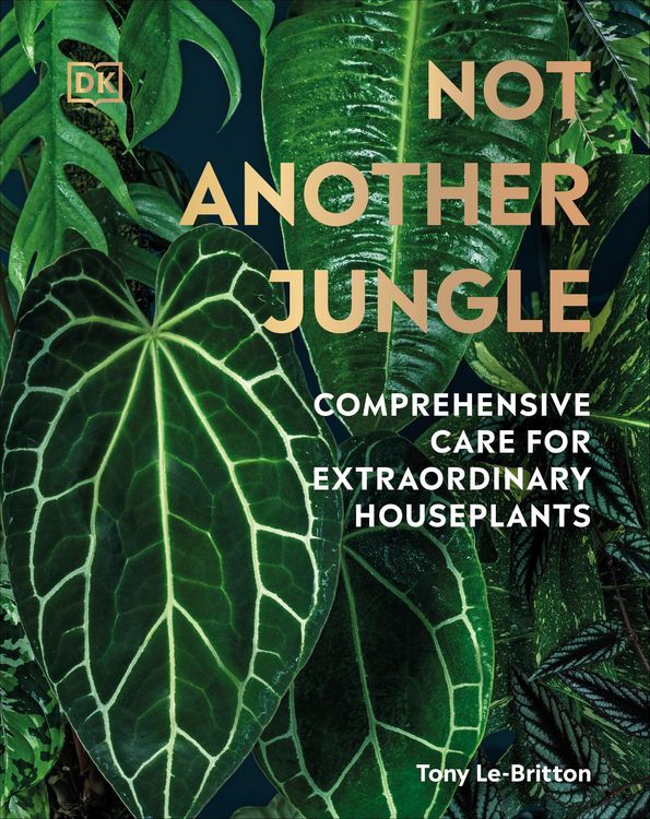 Produktbild: Not Another Jungle