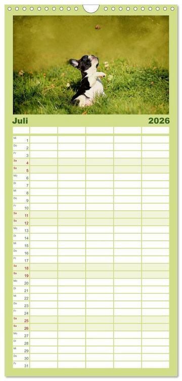 Produktbild: Familienplaner 2026 - Franz&ouml;sische Bulldoggen mit 5 Spalten (Wandkalender, 21 x 45 cm) CALVENDO