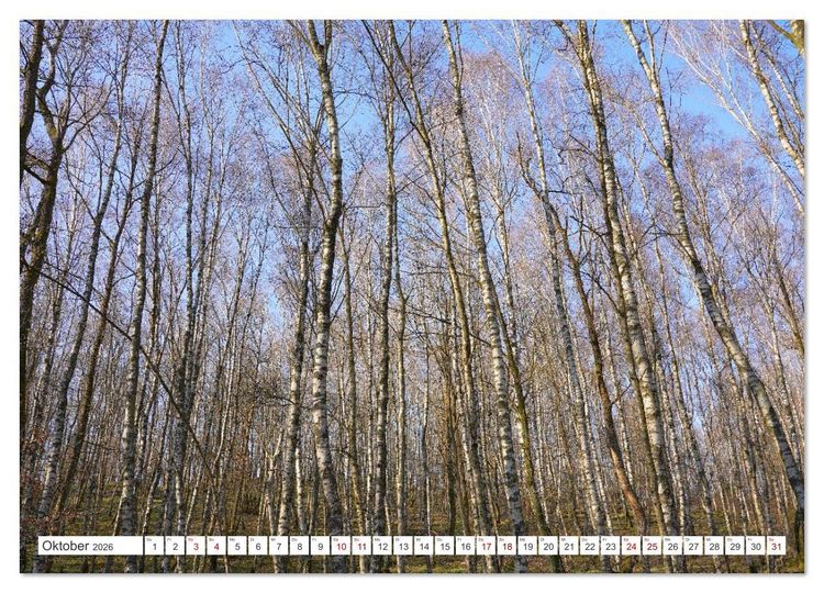 Produktbild: Herdorf im Hellertal (Wandkalender 2026 DIN A2 quer), CALVENDO Monatskalender