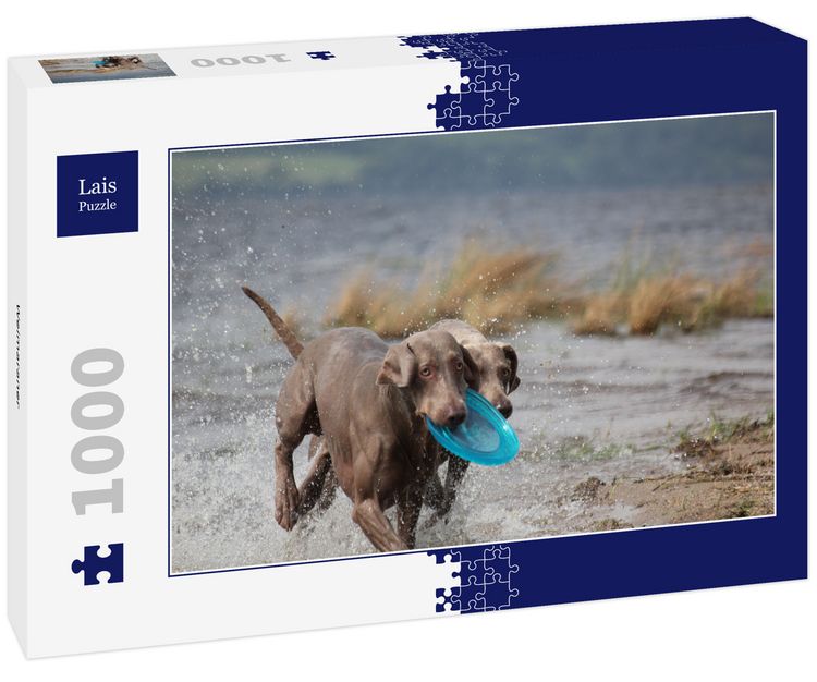 Produktbild: Lais Puzzle Weimaraner 1000 Teile