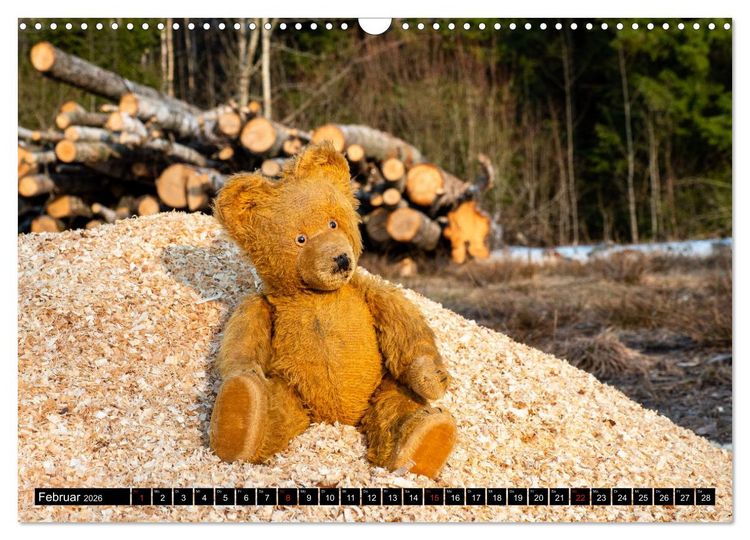 Produktbild: Neue Abenteuer von Teddy Basse (Wandkalender 2026 DIN A3 quer), CALVENDO Monatskalender
