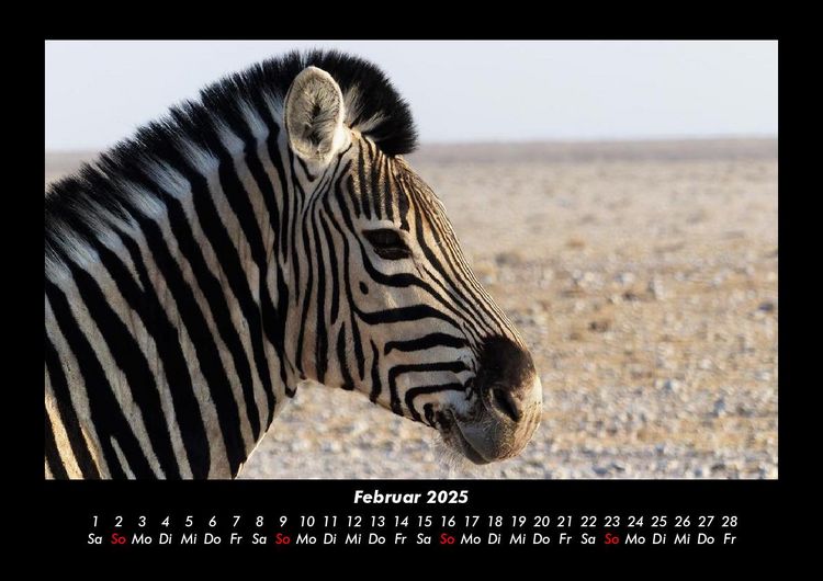 Produktbild: Zebrazauber 2025 Fotokalender DIN A3