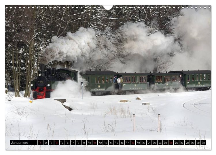 Produktbild: Schmalspurbahnen in Sachsen Anhalt (Wandkalender 2026 DIN A3 quer), CALVENDO Monatskalender