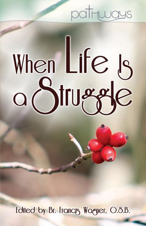 Produktbild: When Life Is a Struggle