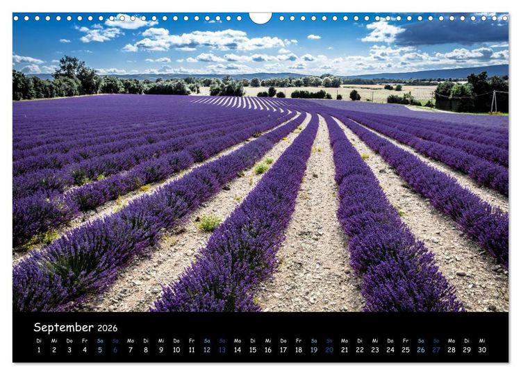 Produktbild: Provence - Lavendelbl&uuml;te (Wandkalender 2026 DIN A3 quer), CALVENDO Monatskalender