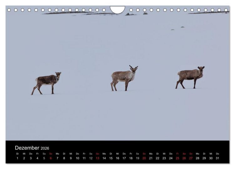 Produktbild: Tierkalender 2026 (Wandkalender 2026 DIN A4 quer), CALVENDO Monatskalender