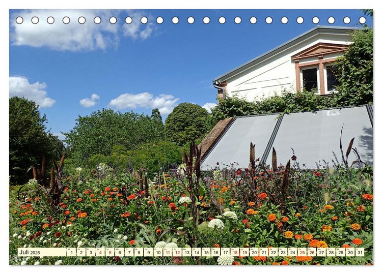 Produktbild: Weinheim im Laufe der Jahreszeiten (Tischkalender 2026 DIN A5 quer), CALVENDO Monatskalender