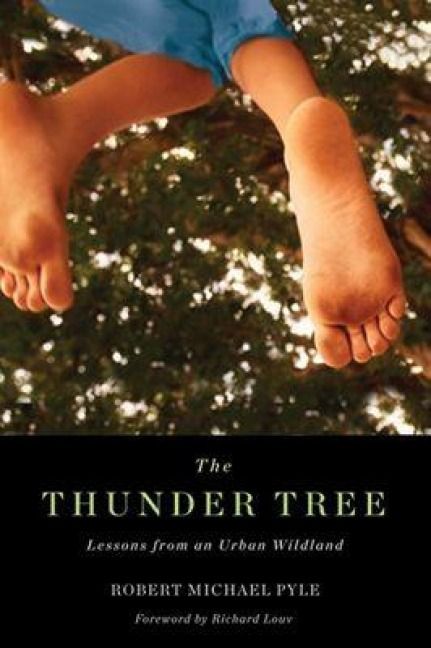 Produktbild: Thunder Tree