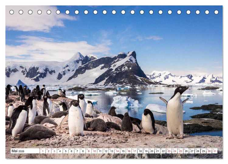 Produktbild: Faszination Antarktis (Tischkalender 2026 DIN A5 quer), CALVENDO Monatskalender