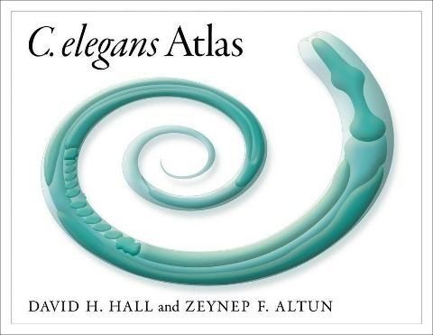 Produktbild: C. Elegans Atlas