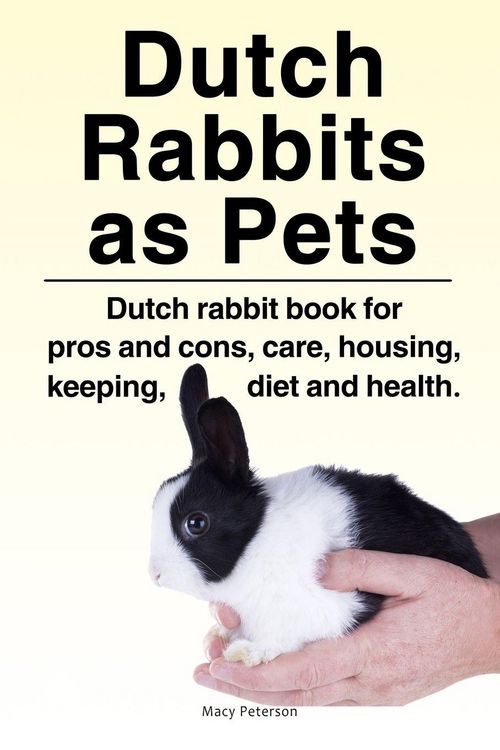 Produktbild: Dutch Rabbits. Dutch Rabbits as Pets. Dutch rabbit book for pros and cons, care, housing, keeping, diet and health.
