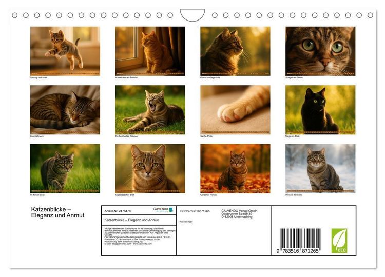 Produktbild: Katzenblicke &ndash; Eleganz und Anmut (Wandkalender 2027 DIN A4 quer), CALVENDO Monatskalender