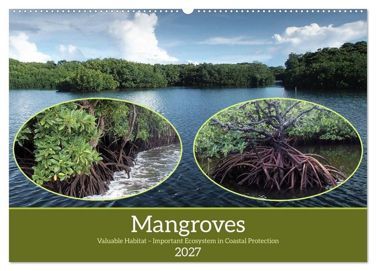 Produktbild: Mangroves - Valuable Habitat (Wall Calendar 2027 DIN A2 landscape), CALVENDO 12 Month Wall Calendar