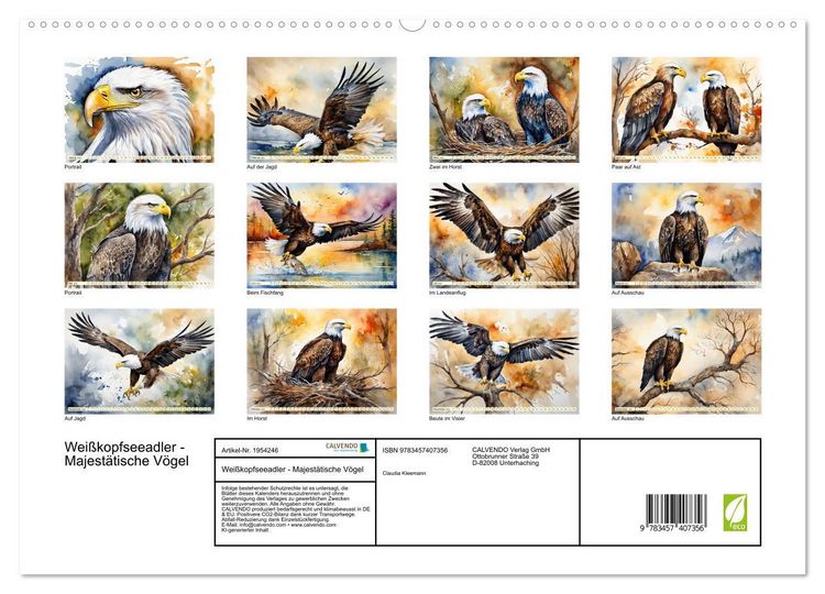 Produktbild: Wei&szlig;kopfseeadler - Majest&auml;tische V&ouml;gel (hochwertiger Premium Wandkalender 2026 DIN A2 quer), Kunstdruck in Hochglanz