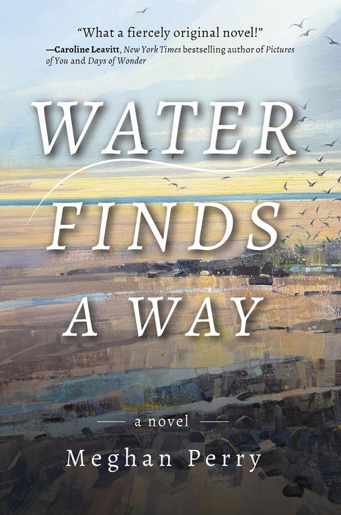 Produktbild: Water Finds a Way a novel