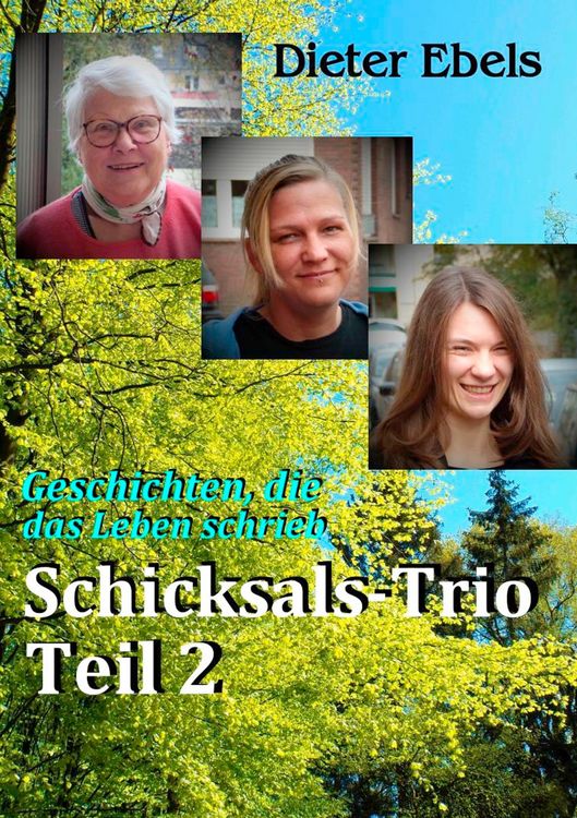 Produktbild: Schicksals-Trio Teil 2