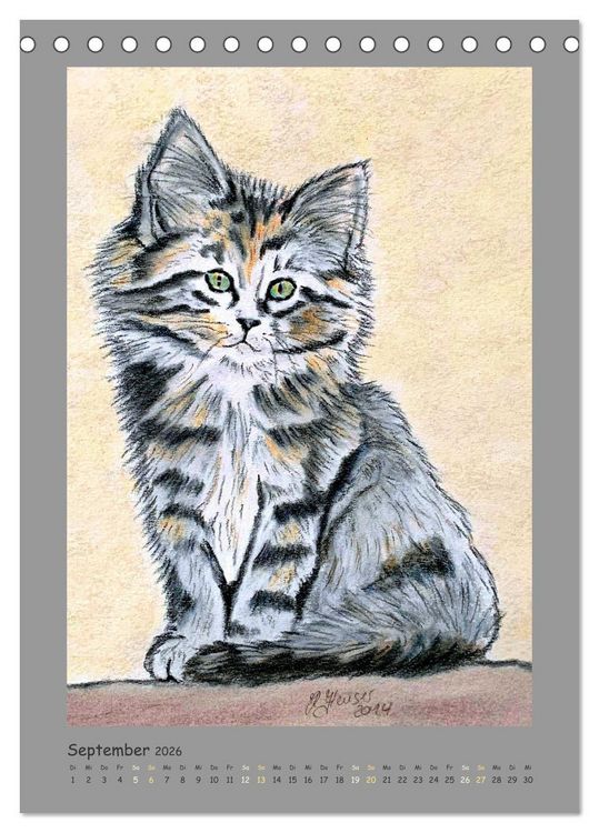 Produktbild: PortraiTierART Samtpf&ouml;tchen (Tischkalender 2026 DIN A5 hoch), CALVENDO Monatskalender