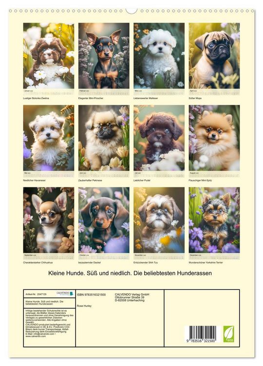 Produktbild: Kleine Hunde. S&uuml;&szlig; und niedlich. Die beliebtesten Hunderassen (hochwertiger Premium Wandkalender 2026 DIN A2 hoch), Kunstdruck in Hochglanz