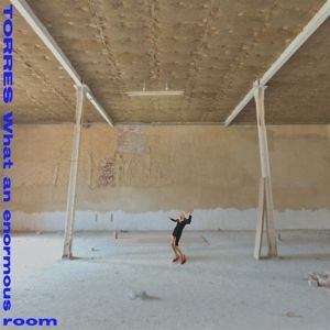 Produktbild: What an Enormous Room