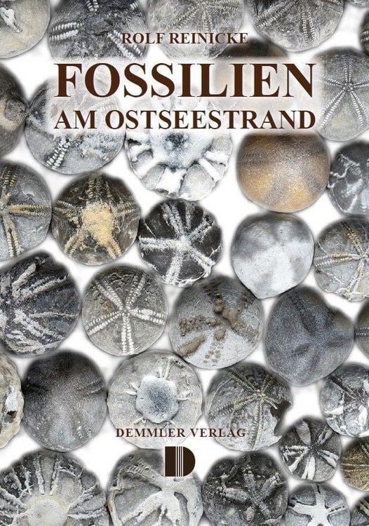 Produktbild: Fossilien am Ostseestrand