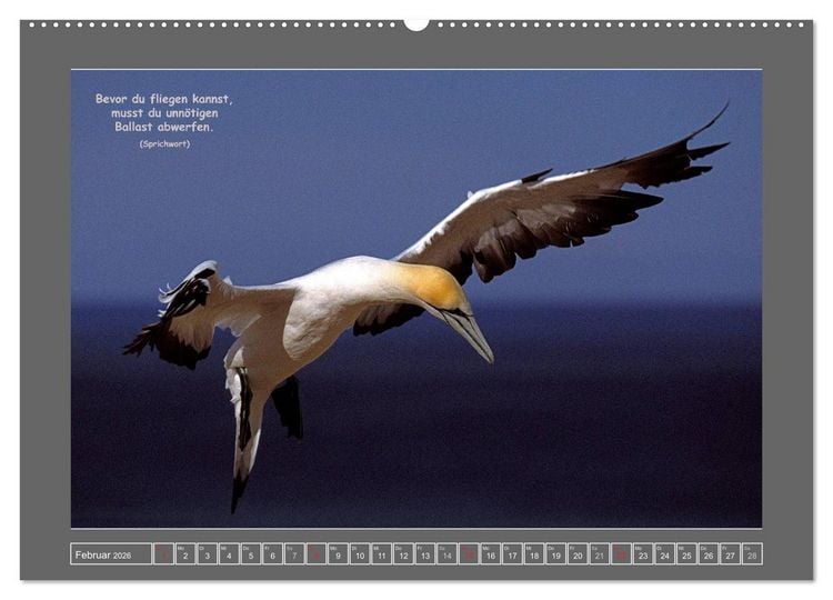 Produktbild: Naturwunder Neuseeland - in Bild und Text (hochwertiger Premium Wandkalender 2026 DIN A2 quer), Kunstdruck in Hochglanz