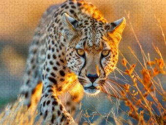 Produktbild: CALVENDO Puzzle Afrika begeistert | 1000 Teile Lege-Gr&ouml;&szlig;e 64x48cm Foto-Puzzle f&uuml;r gl&uuml;ckliche Stunden