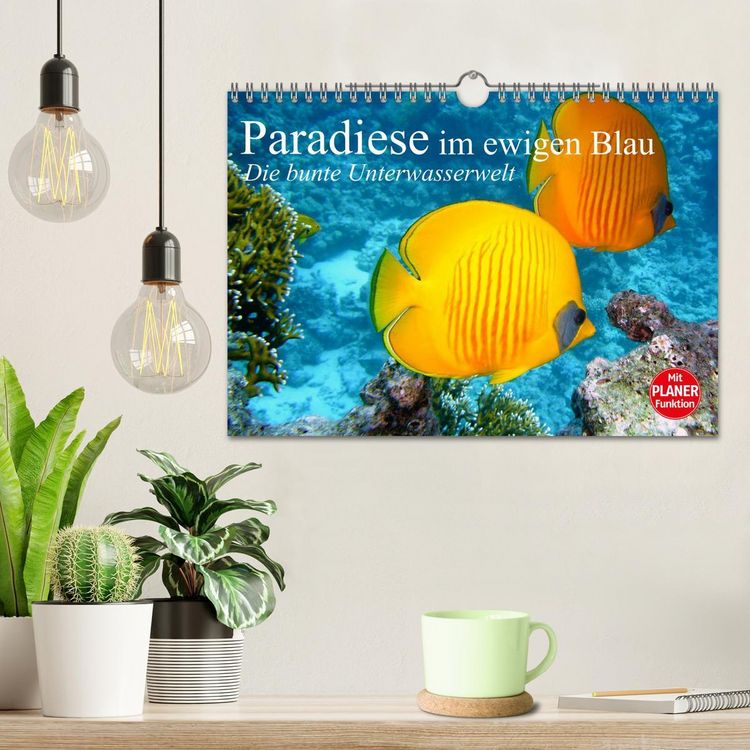 Produktbild: Paradiese im ewigen Blau. Die bunte Unterwasserwelt (Wandkalender 2026 DIN A4 quer), CALVENDO Monatskalender