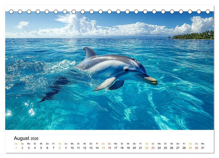 Produktbild: Delfine - Wellen K&uuml;nstler (Tischkalender 2026 DIN A5 quer), CALVENDO Monatskalender
