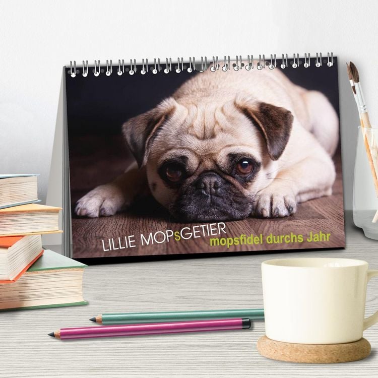Produktbild: Lillie Mopsgetier - mopsfidel durchs Jahr (Tischkalender 2026 DIN A5 quer), CALVENDO Monatskalender