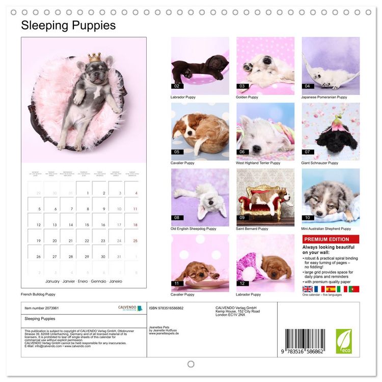Produktbild: Sleeping Puppies (Wall Calendar 2026 12 &times; 12 Inch) CALVENDO 12 Month Wall Calendar