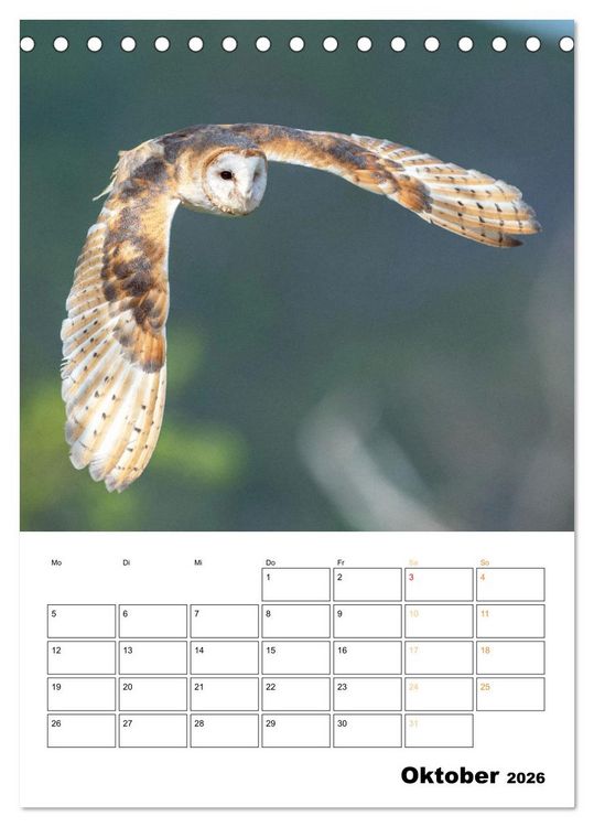 Produktbild: Wilde Tiere: Zuhause in Wald und Flur (Tischkalender 2026 DIN A5 hoch), CALVENDO Monatskalender
