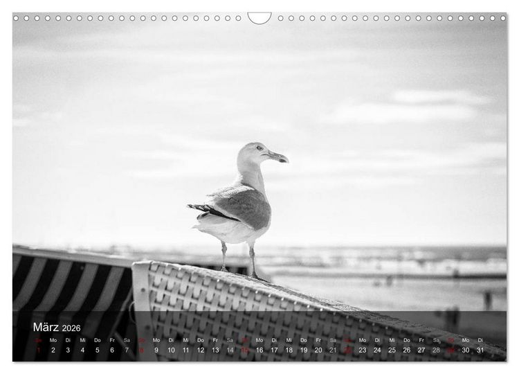 Produktbild: Wangerooge Noir (Wandkalender 2026 DIN A3 quer), CALVENDO Monatskalender