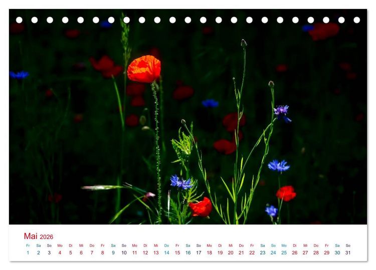 Produktbild: Mohnblumen (Tischkalender 2026 DIN A5 quer), CALVENDO Monatskalender