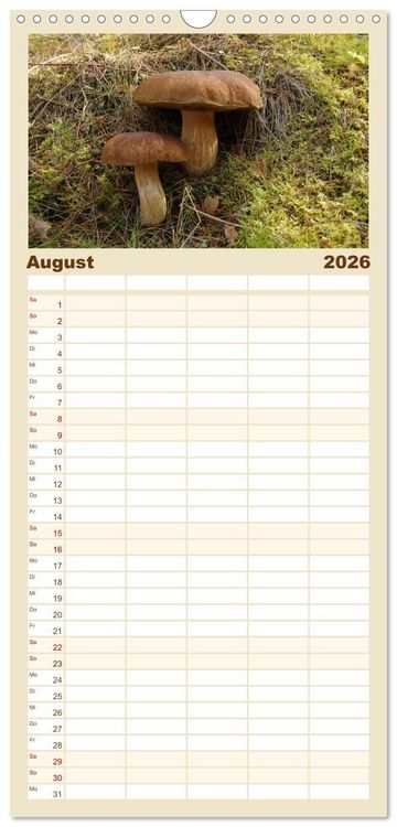Produktbild: Familienplaner 2026 - Schwedens V&auml;rmland mit 5 Spalten (Wandkalender, 21 x 45 cm) CALVENDO