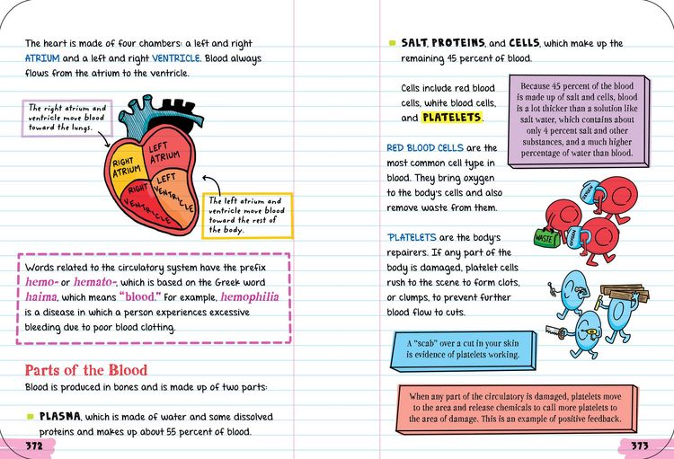 Produktbild: Everything You Need to Ace Biology in One Big Fat Notebook