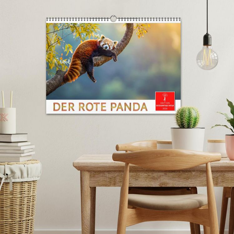 Produktbild: Der Rote Panda (Wandkalender 2026 DIN A3 quer), CALVENDO Monatskalender