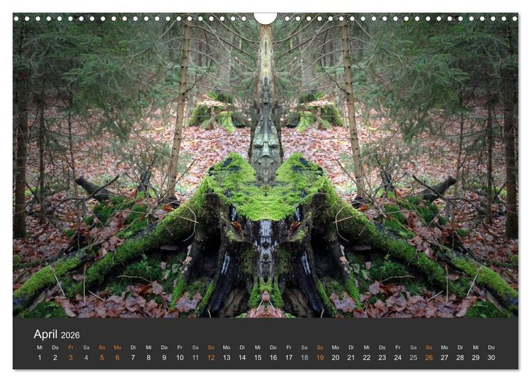 Produktbild: Spiegelwelten - Im Reich der Naturwesen (Wandkalender 2026 DIN A3 quer), CALVENDO Monatskalender
