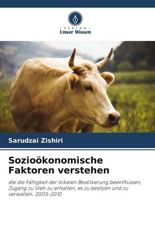 Produktbild: Sozio&ouml;konomische Faktoren verstehen