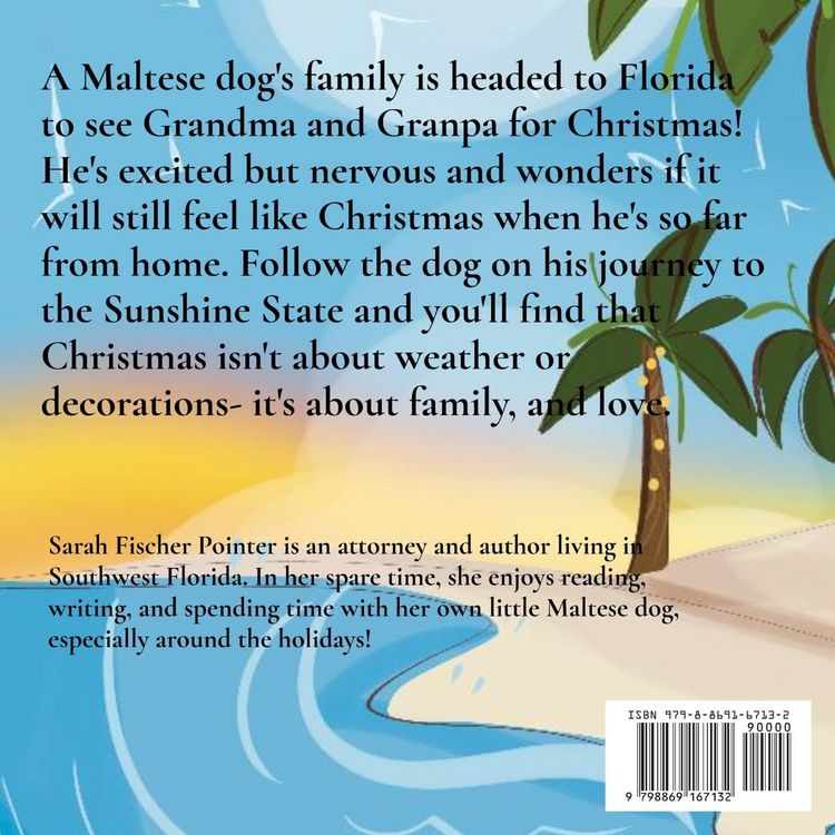 Produktbild: A Dog's Christmas on the Beach