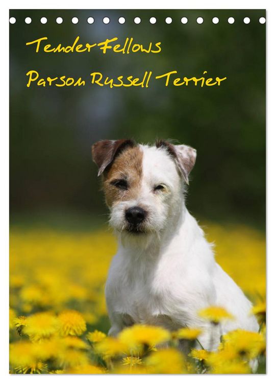 Produktbild: Tender Fellows - Parson Russell Terrier (Tischkalender 2026 DIN A5 hoch), CALVENDO Monatskalender