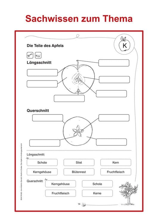 Produktbild: Der Apfel im Anfangsunterricht